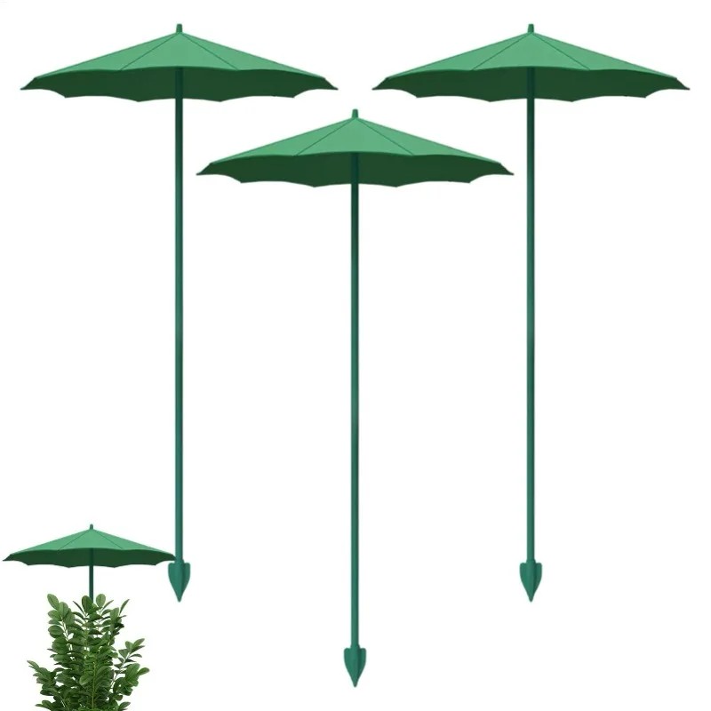 Food Storage Plants - 1/3 adet saksı bitkileri için bitki