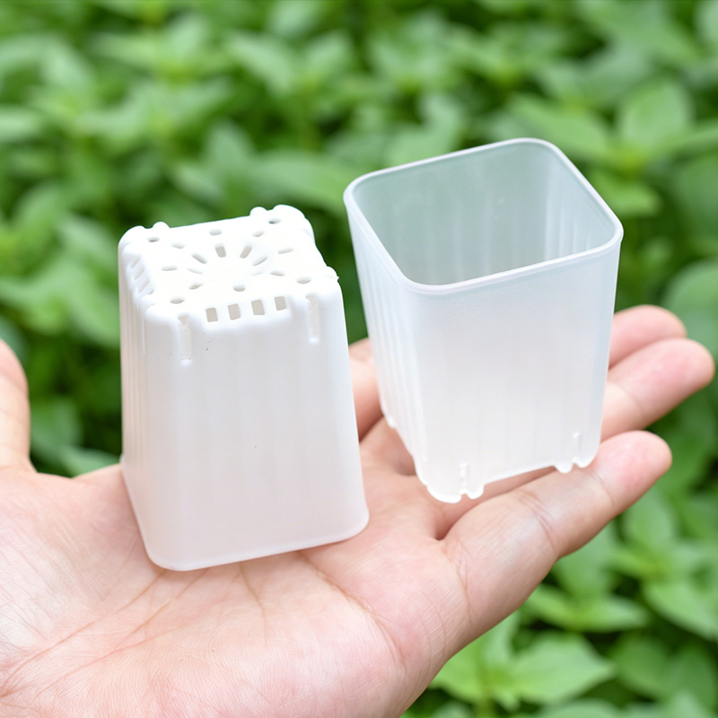 Food Storage Plants - 50-100 adet 4cm Mini kalın beyaz/şeffaf