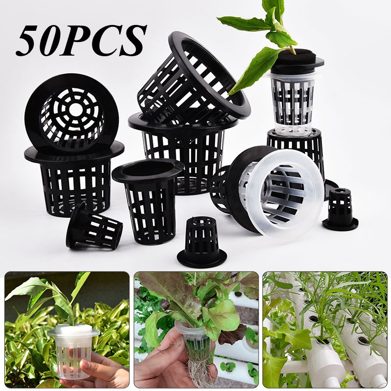 Food Storage Plants - 50 Adet Siyah Beyaz Topraksız File