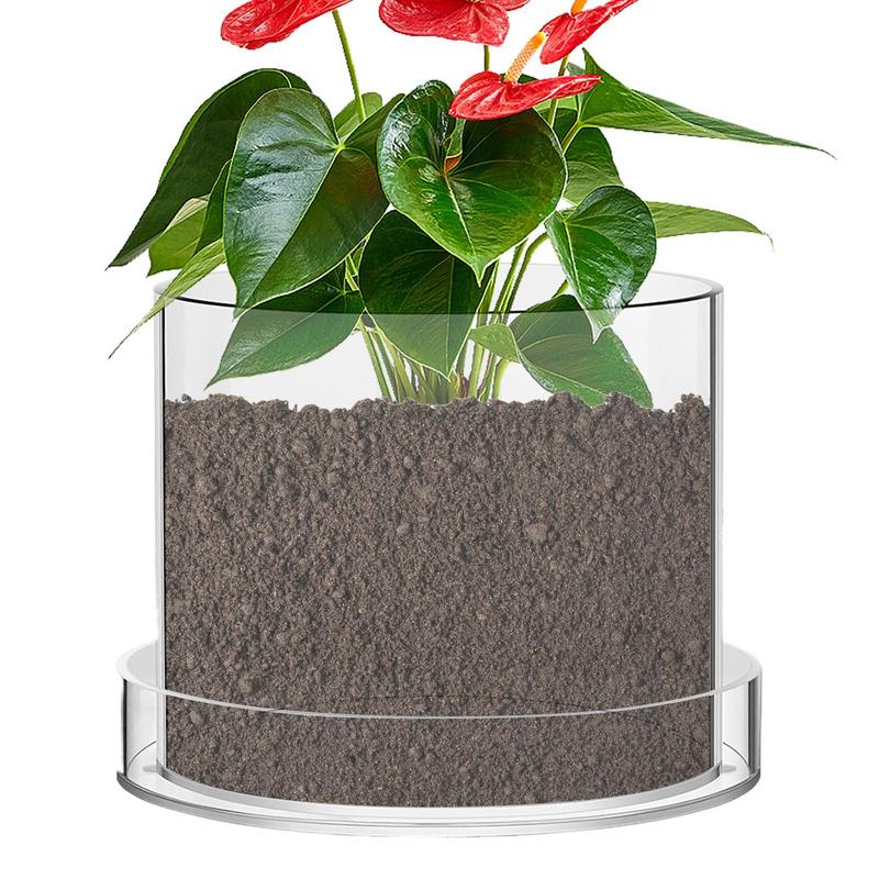 Food Storage Plants - Drenajlı Şeffaf Bitki Saksıları Bitkiler İçin