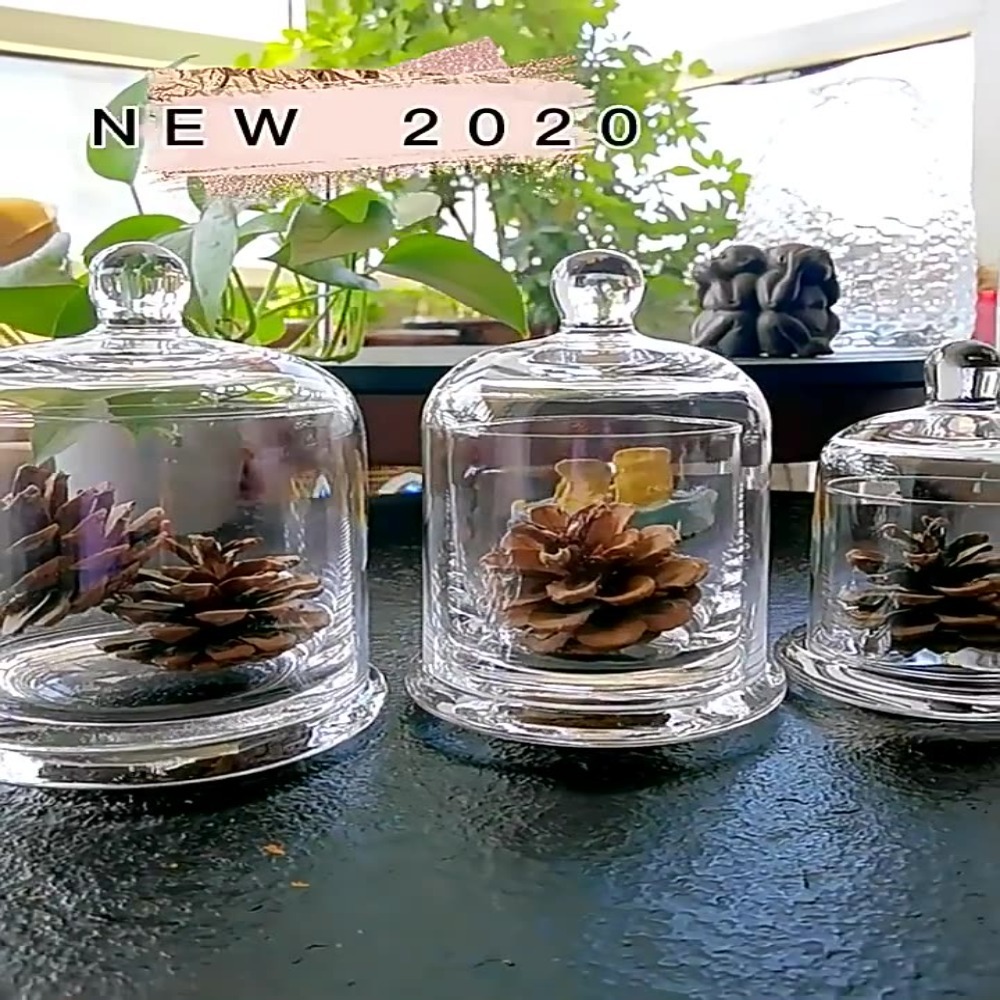 Food Storage Plants - Cam Saklama Kavanozu Ebedi Çiçek 8
