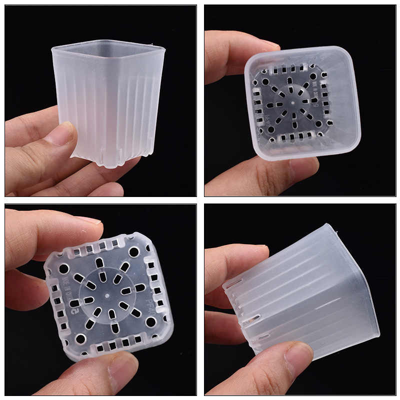 50-100 adet 4cm Mini kalın bey - Food Storage Plants incelemesi ve fiyatı