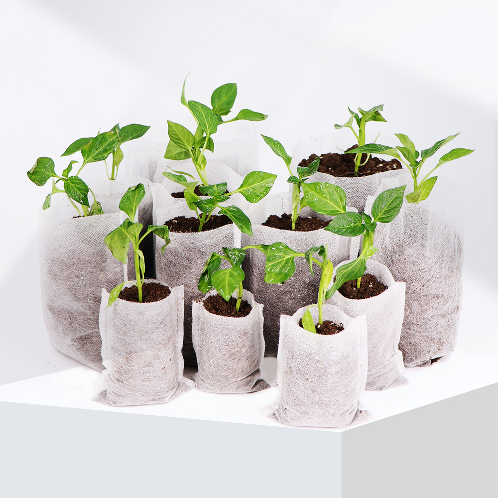 Biyobozunur Nonwoven Kumaş Fid - Food Storage Plants incelemesi ve fiyatı