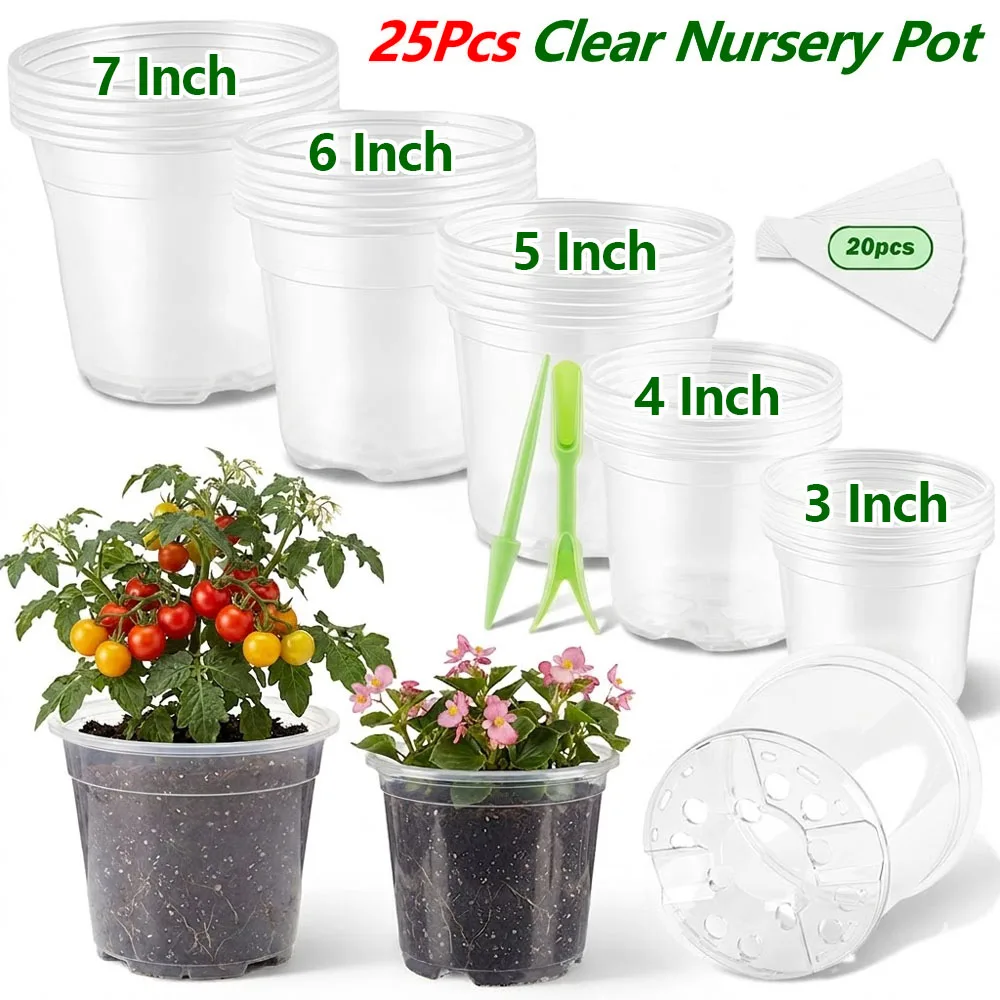 25 Adet 3/4/5/6/7 İnç Şeffaf F - Food Storage Plants incelemesi ve fiyatı