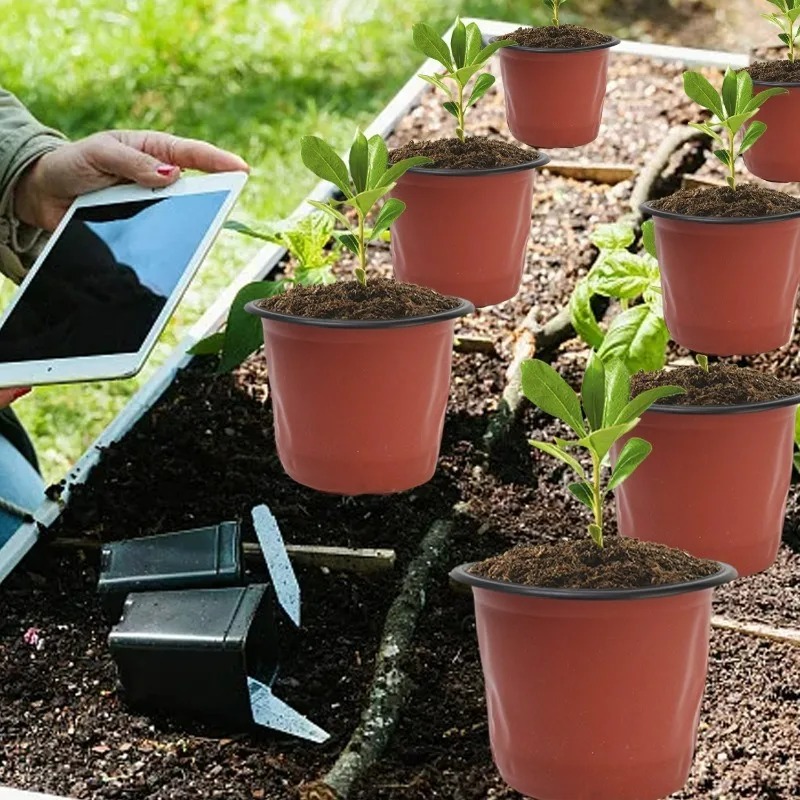100/20x Fide Yetiştirme Saksıs - Food Storage Plants incelemesi ve fiyatı